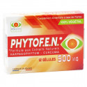 PHYTOFEN 500MG 12 GÉLULES-16987